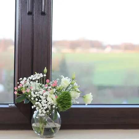 Hotel Smart By Landgasthof Velber 24h7d